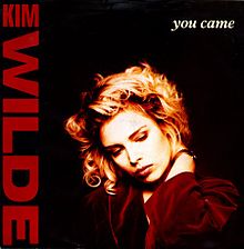 You Came You Came