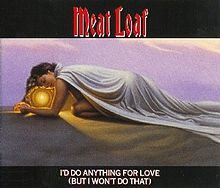 I'd Do Anything for Love (But I Won't Do That) I'd Do Anything for Love (But I Won't Do That)