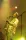 Ben Harper Ben Harper