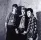 Stray Cats Stray Cats