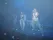 Liberty X Liberty X