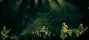 Soundgarden Soundgarden