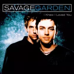 I Knew I Loved You