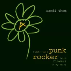 I Wish I Was a Punk Rocker (with Flowers in My Hair)