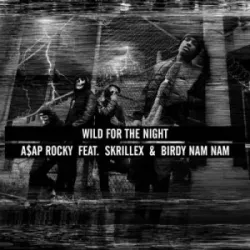 Wild for the Night