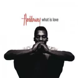 What Is Love 2016