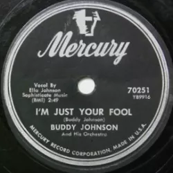 Just Your Fool