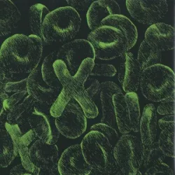 Bloodstream
