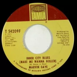 Inner City Blues (Make Me Wanna Holler)