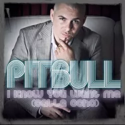 I Know You Want Me (Calle Ocho)