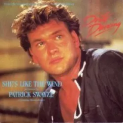 She's Like the Wind