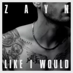 Like I Would
