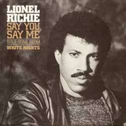 Say You, Say Me