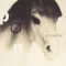 Pony