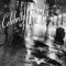 Celebrity Skin