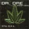 Still D.R.E.