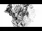 video capture