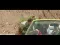 video capture