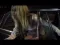 video capture
