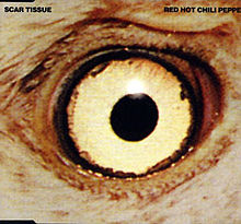 Scar Tissue